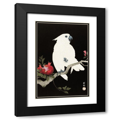Cockatoo and pomegranate Black Modern Wood Framed Art Print with Double Matting by Koson, Ohara
