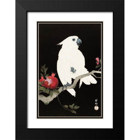 Cockatoo and pomegranate Black Modern Wood Framed Art Print with Double Matting by Koson, Ohara