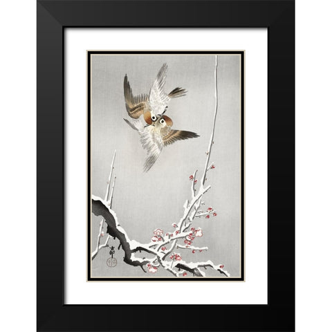Sparrows and snowy plum tree Black Modern Wood Framed Art Print with Double Matting by Koson, Ohara