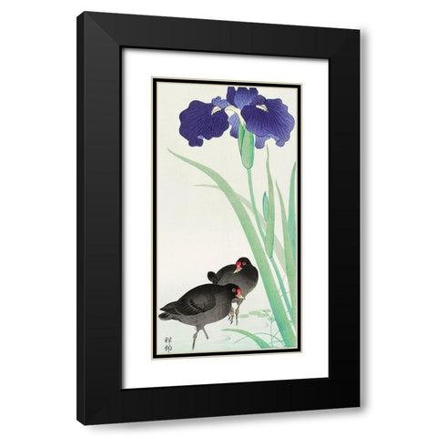 Waterhoots and iris Black Modern Wood Framed Art Print with Double Matting by Koson, Ohara