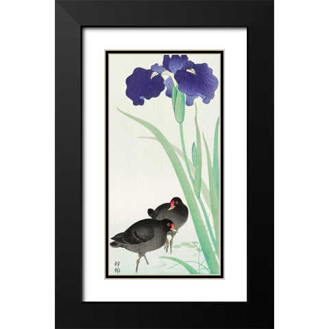 Waterhoots and iris Black Modern Wood Framed Art Print with Double Matting by Koson, Ohara