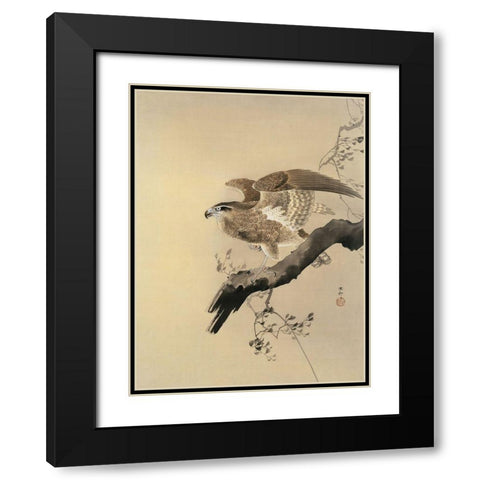 Hawk Black Modern Wood Framed Art Print with Double Matting by Koson, Ohara