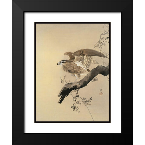 Hawk Black Modern Wood Framed Art Print with Double Matting by Koson, Ohara
