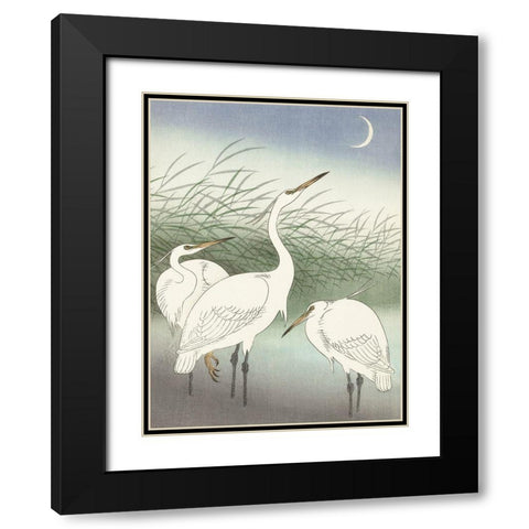 Herons in shallow water Black Modern Wood Framed Art Print with Double Matting by Koson, Ohara