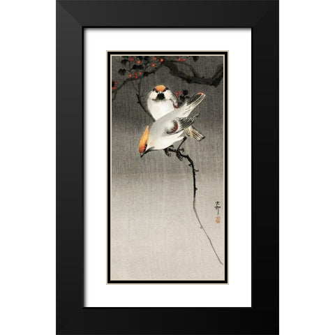Bohemian waxwing birds Black Modern Wood Framed Art Print with Double Matting by Koson, Ohara