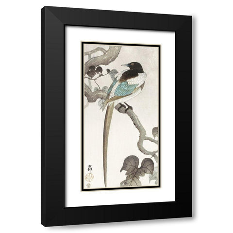 Magpie on tree branch Black Modern Wood Framed Art Print with Double Matting by Koson, Ohara