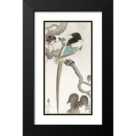 Magpie on tree branch Black Modern Wood Framed Art Print with Double Matting by Koson, Ohara