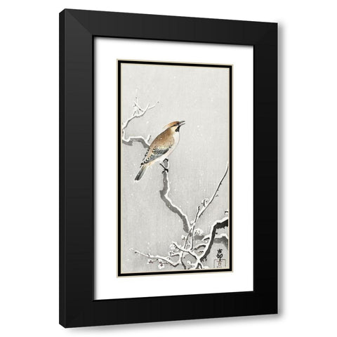 Bohemian bird on snowy branch Black Modern Wood Framed Art Print with Double Matting by Koson, Ohara