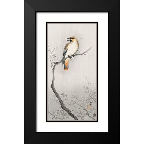 Japanese plague bird on branch Black Modern Wood Framed Art Print with Double Matting by Koson, Ohara