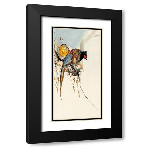 Pheasant couple and plum blossom Black Modern Wood Framed Art Print with Double Matting by Koson, Ohara