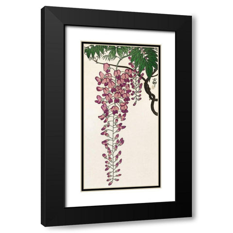 Blooming wisteria Black Modern Wood Framed Art Print with Double Matting by Koson, Ohara
