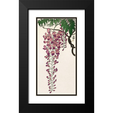 Blooming wisteria Black Modern Wood Framed Art Print with Double Matting by Koson, Ohara