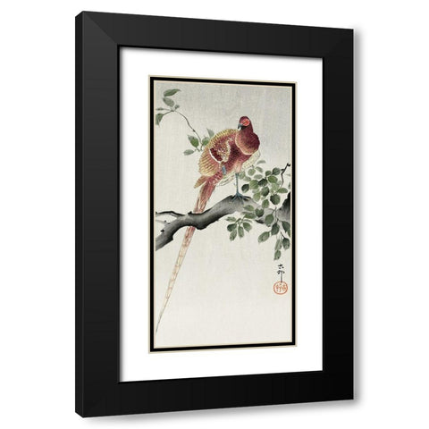 Copper pheasant Black Modern Wood Framed Art Print with Double Matting by Koson, Ohara