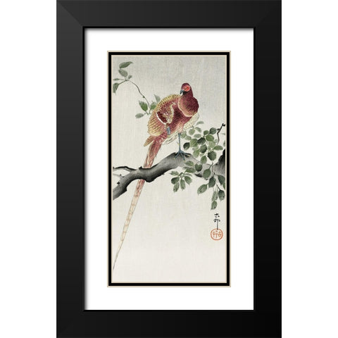 Copper pheasant Black Modern Wood Framed Art Print with Double Matting by Koson, Ohara