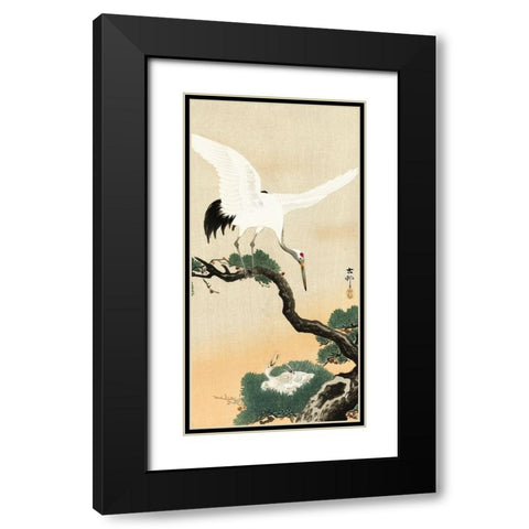 Japanese crane bird on branch of pine Black Modern Wood Framed Art Print with Double Matting by Koson, Ohara