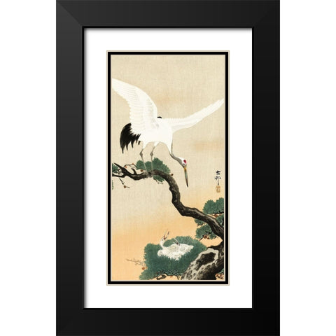 Japanese crane bird on branch of pine Black Modern Wood Framed Art Print with Double Matting by Koson, Ohara