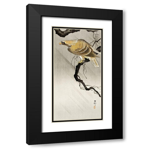 Eagle on branch Black Modern Wood Framed Art Print with Double Matting by Koson, Ohara