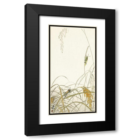 Grasshoppers on rice plants Black Modern Wood Framed Art Print with Double Matting by Koson, Ohara
