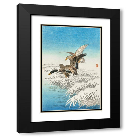 Pair of ducks flying over snowy reed collar Black Modern Wood Framed Art Print with Double Matting by Koson, Ohara