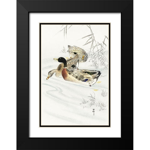 Three ducks in shallow water with reeds Black Modern Wood Framed Art Print with Double Matting by Koson, Ohara