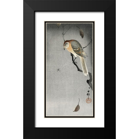 Buffalo wing shrike and spider Black Modern Wood Framed Art Print with Double Matting by Koson, Ohara