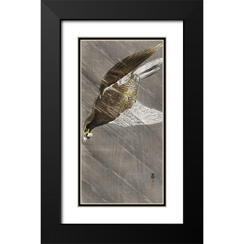 Downward flying eagle Black Modern Wood Framed Art Print with Double Matting by Koson, Ohara