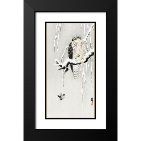 Hawk with captured ring sparrow Black Modern Wood Framed Art Print with Double Matting by Koson, Ohara
