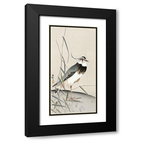 Lapwing and reed Black Modern Wood Framed Art Print with Double Matting by Koson, Ohara