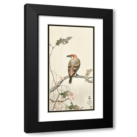 Crossbill on tree branch Black Modern Wood Framed Art Print with Double Matting by Koson, Ohara