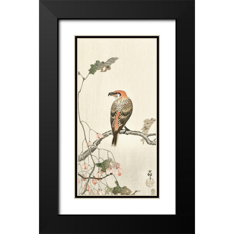 Crossbill on tree branch Black Modern Wood Framed Art Print with Double Matting by Koson, Ohara