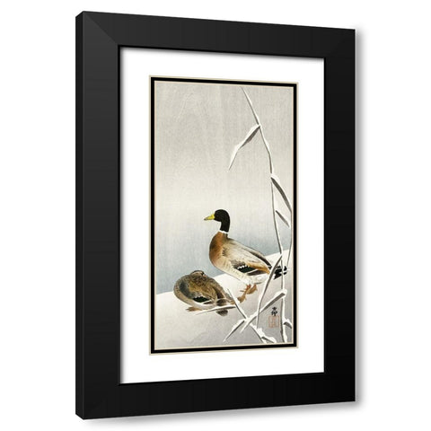 Two ducks on snowy reed Black Modern Wood Framed Art Print with Double Matting by Koson, Ohara