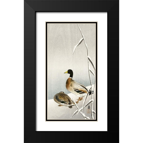 Two ducks on snowy reed Black Modern Wood Framed Art Print with Double Matting by Koson, Ohara