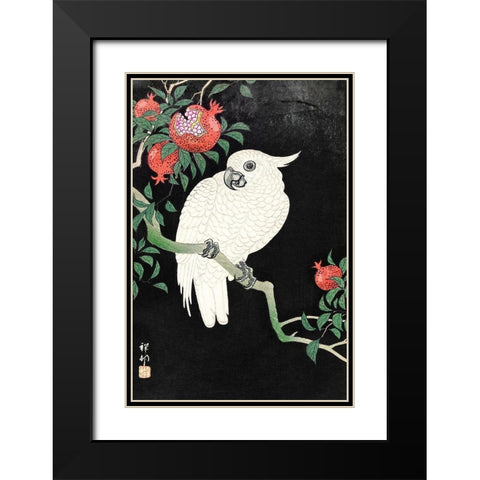 Cockatoo and Pomegranate Black Modern Wood Framed Art Print with Double Matting by Koson, Ohara
