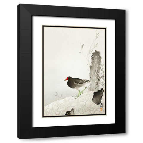 Moorhen Black Modern Wood Framed Art Print with Double Matting by Koson, Ohara