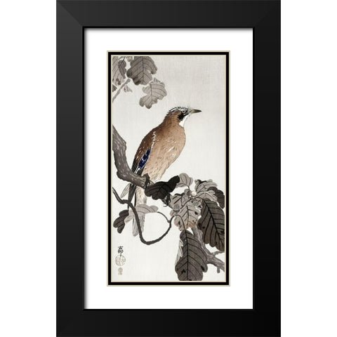 Jay on tree branch Black Modern Wood Framed Art Print with Double Matting by Koson, Ohara