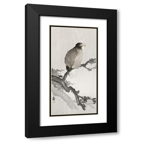White-tailed eagle on branch Black Modern Wood Framed Art Print with Double Matting by Koson, Ohara