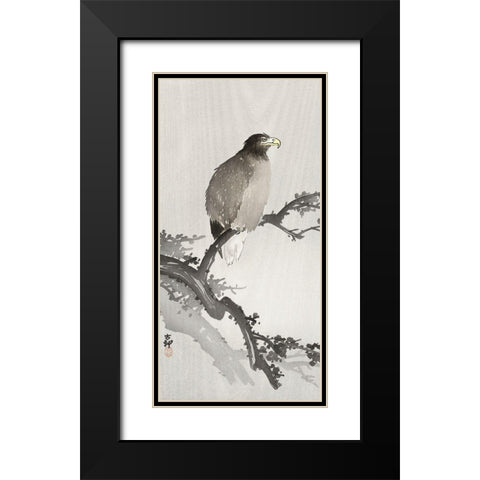 White-tailed eagle on branch Black Modern Wood Framed Art Print with Double Matting by Koson, Ohara