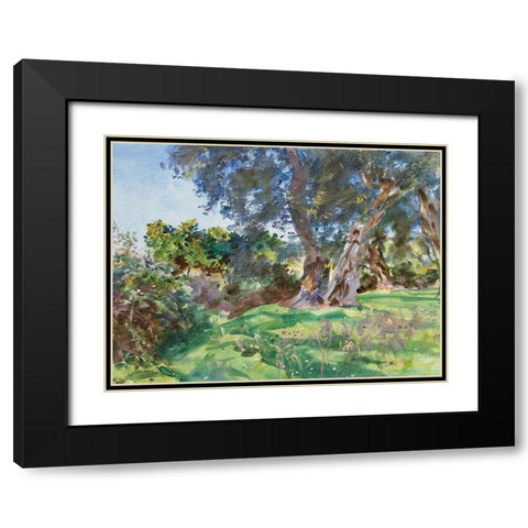 Olive Trees, Corfu Black Modern Wood Framed Art Print with Double Matting by Sargent, John Singer