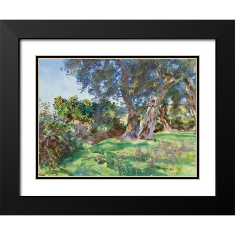 Olive Trees, Corfu Black Modern Wood Framed Art Print with Double Matting by Sargent, John Singer