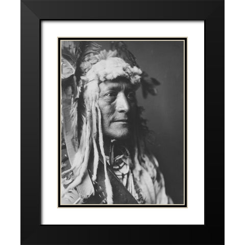 White Duck Black Modern Wood Framed Art Print with Double Matting by Curtis, Edward