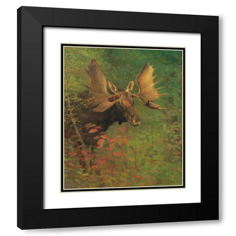 Study of a moose Black Modern Wood Framed Art Print with Double Matting by Bierstadt, Albert