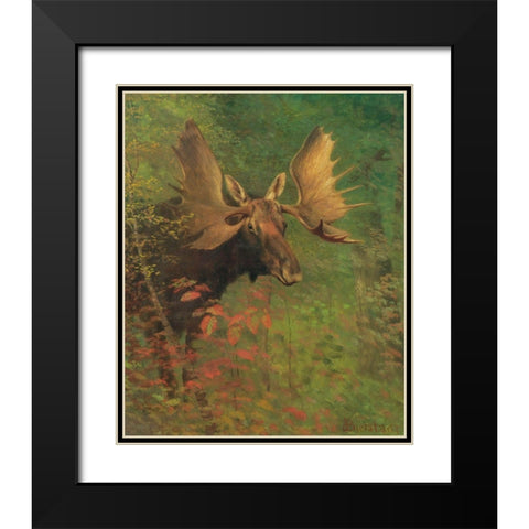 Study of a moose Black Modern Wood Framed Art Print with Double Matting by Bierstadt, Albert