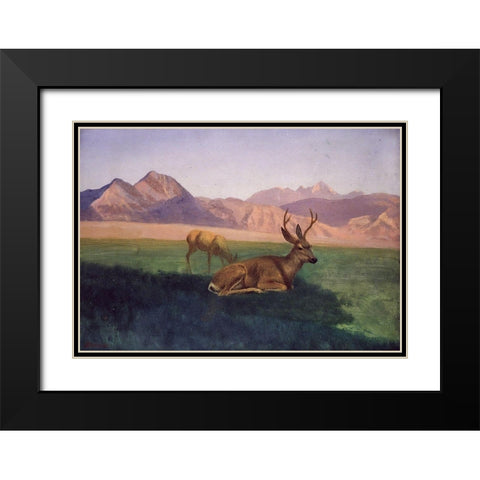 Deer Black Modern Wood Framed Art Print with Double Matting by Bierstadt, Albert