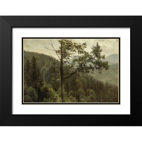 Tree covered mountains Black Modern Wood Framed Art Print with Double Matting by Bierstadt, Albert