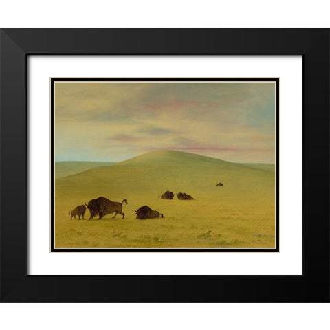 American Pasturage - Prairies of the Platte Black Modern Wood Framed Art Print with Double Matting by Catlin, George