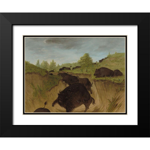Grizzly Bears Attacking Buffalo Black Modern Wood Framed Art Print with Double Matting by Catlin, George