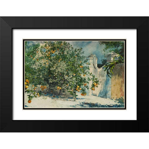 Orange trees and gate Black Modern Wood Framed Art Print with Double Matting by Homer, Winslow