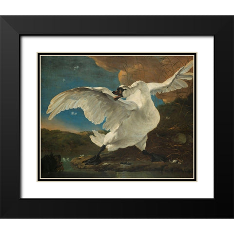 The Threatened Swan Black Modern Wood Framed Art Print with Double Matting by Asselijn, Jan