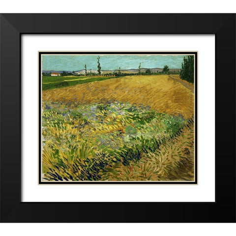 Wheatfield Black Modern Wood Framed Art Print with Double Matting by van Gogh, Vincent
