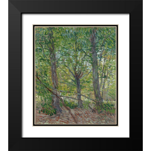 Trees Black Modern Wood Framed Art Print with Double Matting by van Gogh, Vincent